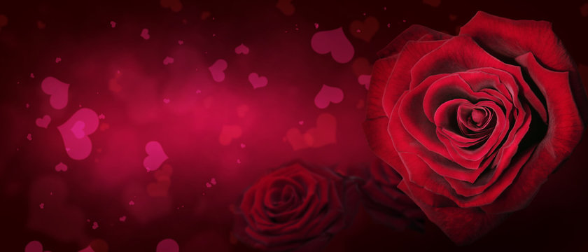 Rosen - ein Zeichen der Liebe