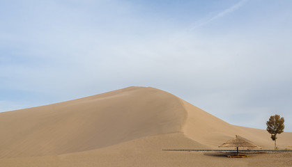 Fototapeta na wymiar Sand dunes, rest pavilion and tree