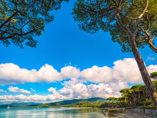 Punta Ala, Pine tree group, beach and sea bay. Tuscany, Italy