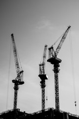 Silhouette mega cranes on top of under construction building. Shoot in black and white shot.  