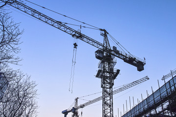 Fototapeta premium Cranes in the construction site