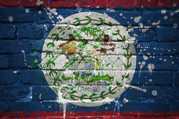 painted national flag of belize on a brick wall