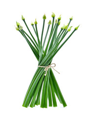 Chives flower or Chinese chive isolated on white background