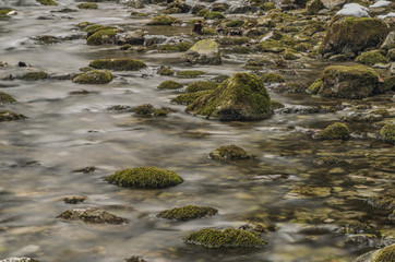 Biely creek with stones and clean water