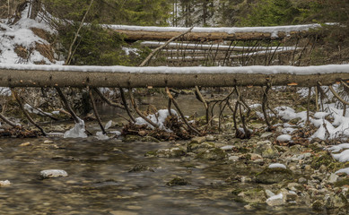 Biely creek with stones and clean water