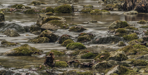 Biely creek with stones and clean water