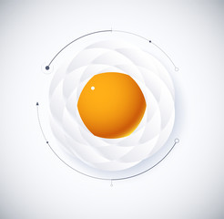 infographic diagram of Fried Egg and food concept. blank space for text.