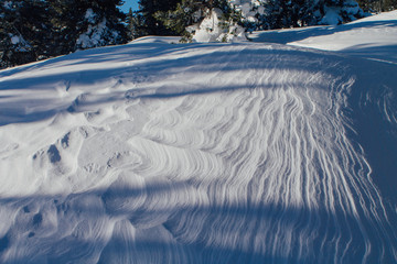 Fototapeta na wymiar Snow texture on a sunny day