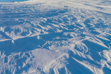 Snow texture on a sunny day