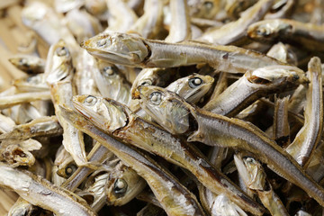 にぼし　Dried small sardines 