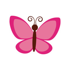 pink butterfly icon over white background. colorful design. vector illustration