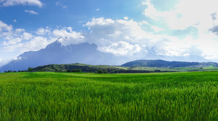 Meadow In The Mountains Under Sunlight