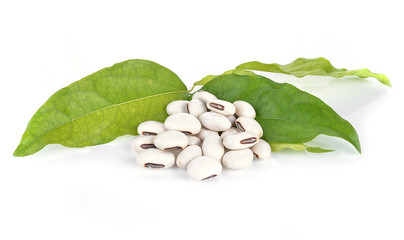 white kidney beans isolated on white background