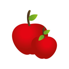 colorful set collection apple fruits vector illustration