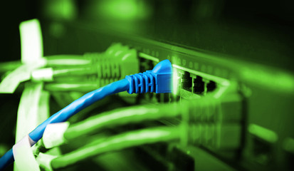 closu up UTP Cat 5 cable in data center