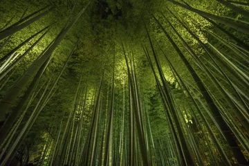 Fotobehang Bamboo grove, bamboo forest in Arashiyama, Kyoto, Japan © leeyiutung