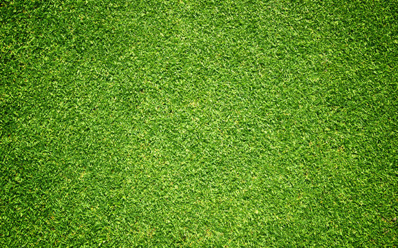 grass background Golf Courses green