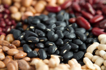 Black bean in heap legumes seed