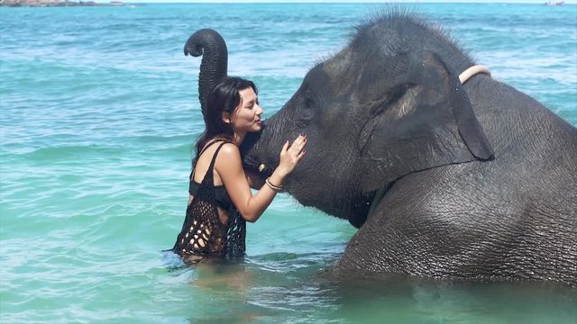 Girl with the elephant in the ocean