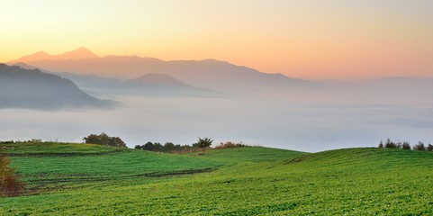 緑の草原と大地の夜明け
