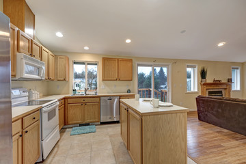 Light open concept kitchen room with vaulted ceiling