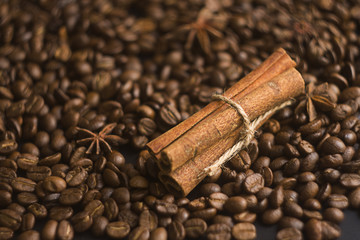 Anise and cinammon sticks lying on the coffee beans