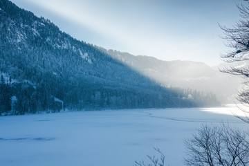 Fototapeta na wymiar Snowy Bavarian Alps at foggy morning, Bavaria, Germany.