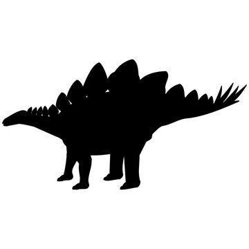 Stegosaurus Silhouette