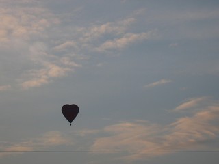 Heart of love 