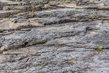 Layers of rock

