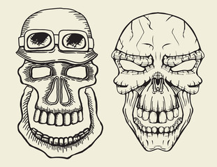 One skull in different guises