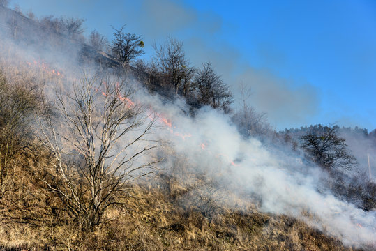 Smoke pollution. Farmers burn the grass on hill early spring, another cause of global warming.