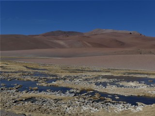 Small flowing stream high in the altiplano desert region of the Andes near San Pedro de Attacama