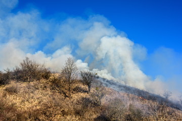 Smoke pollution. Farmers burn the grass on hill early spring, another cause of global warming.