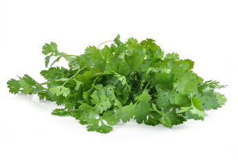 Fototapeta premium Bunch of fresh coriander leaves over white background