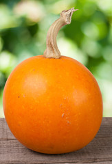 Small decorative orange pumpkin on a wooden board with blurred garden background