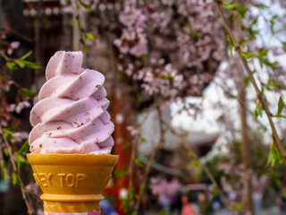 Pink sakura ice cream