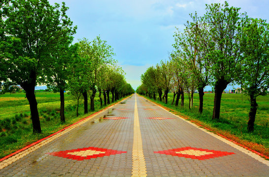 Yeşil Ağaçlarla Sarılı Parke Taşlı Yol