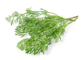 Dill isolated on white