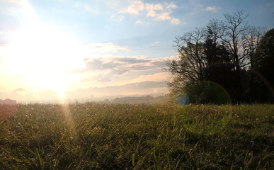 Misty morning with view on the fog on meadow. Slovakia