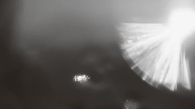 light silhouettes background no color