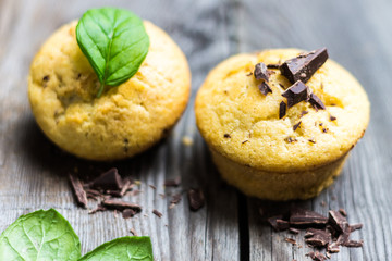 Chocolate Muffins on Wooden Background
