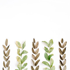 Green and brown leaves on white background. Flat lay, top view. Floral background.