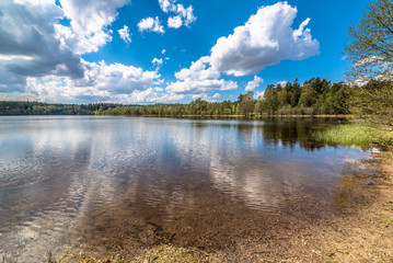 Spring lake landscape, beautiful nature scene