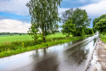 Rural road with wet asphalt after rain in countryside scenery of fields, landscape
