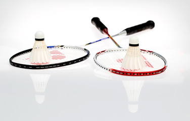 Badminton shuttlecock
