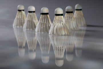 Badminton shuttlecock
