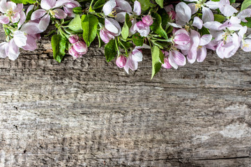 Fototapeta na wymiar Spring blossoms on wooden background