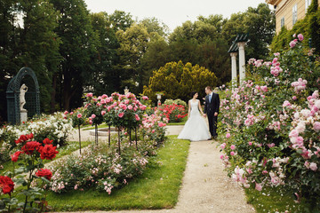 Just merried walking through the amazing rose bushes in the gard