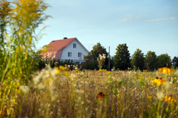 Fototapeta na wymiar Summer Field and village house
